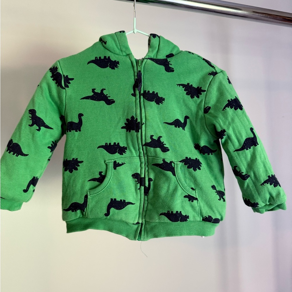 Green Dinosaur Kids Hoodie
